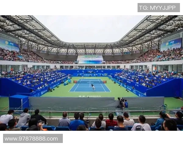 成都网球队中路突破的成功与不足分析及未来发展方向探讨