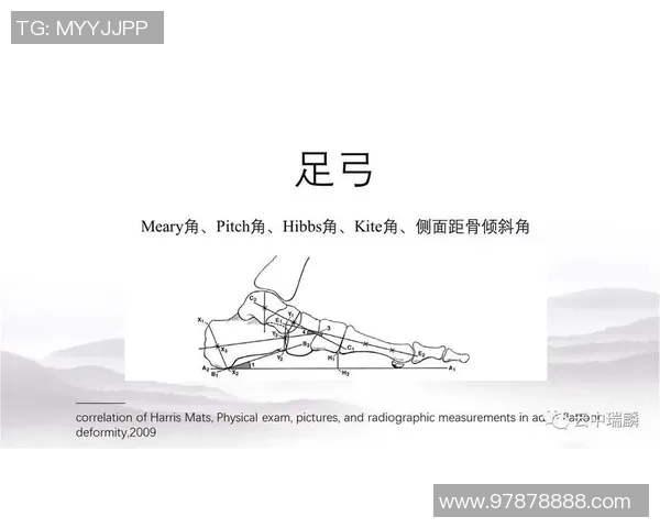 武汉排球队区域防守战术解析及其在比赛中的应用效果分析