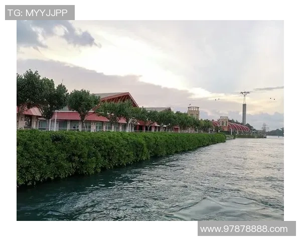 深圳飞盘队技术对比深度解析与其他队伍的优势与不足分析